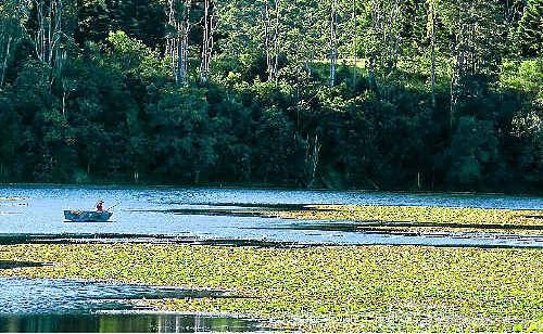 Hop’e Hopkins says the main benefit of declaring the region a Biosphere Reserve would be a boost to eco-tourism.